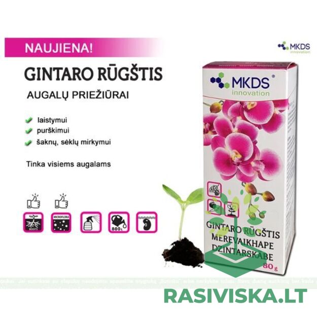 GINTARO RŪGŠTIS, 80 G, REAGENTAS