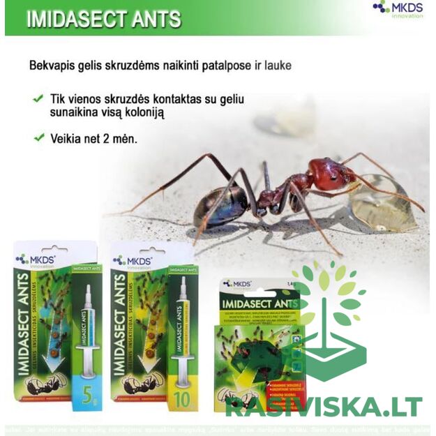 IMIDASECT ANTS, 1,4 G, GELINIS INSEKTICIDAS MASALO PADĖKLIUKE SKRUZDĖLĖMS NAIKINTI