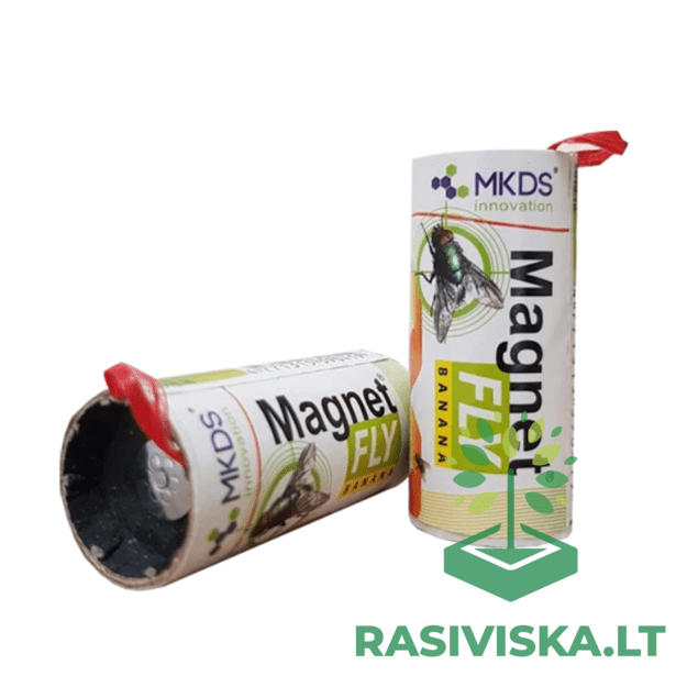 MAGNET FLY BANANA LIPNUS MUSGAUDIS, 1 VNT