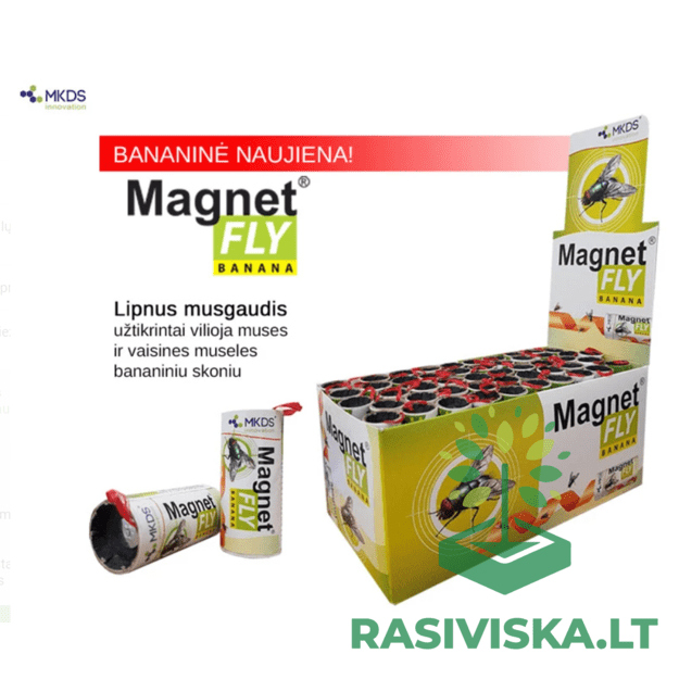 MAGNET FLY BANANA LIPNUS MUSGAUDIS, 1 VNT