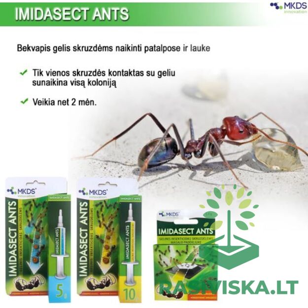 IMIDASECT ANTS, 10 G, GELINIS INSEKTICIDAS SKRUZDĖLĖMS NAIKINTI