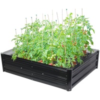2172893 Garden pakelta lysvė, 3D dizainas, metalinis, paaukštintas, 120x90x30 cm