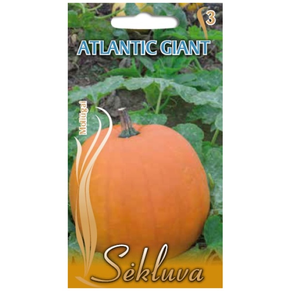 ATLANTIC_GIANT Didieji moliūgai Atlantic Giant 50g