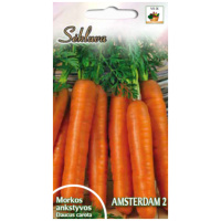 Amsterdam_2 Valgomosios morkos Amsterdam 2, 2g