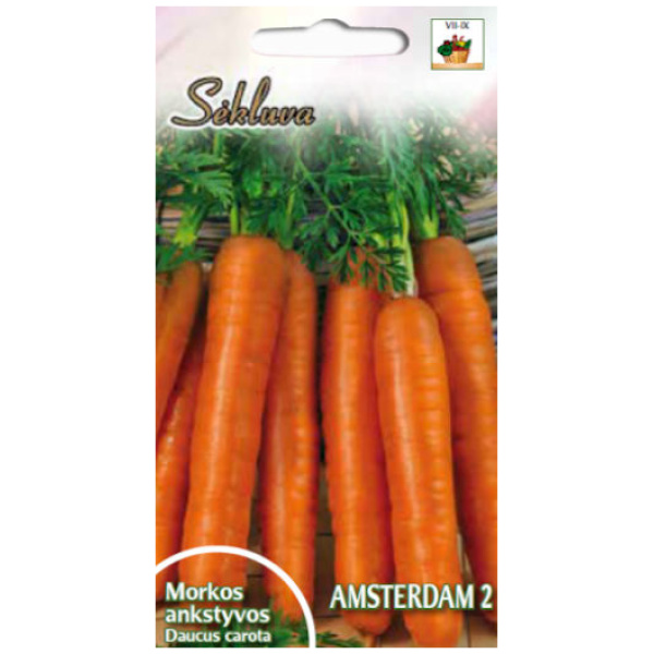 Amsterdam_2 Valgomosios morkos Amsterdam 2, 2g