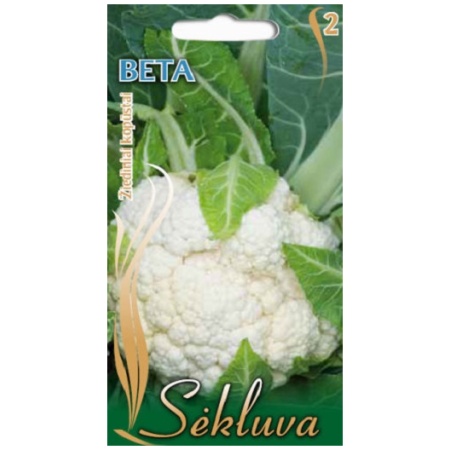 Beta Žiediniai kopūstai Beta 1g