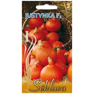 JUSTYNKA Špinatai SPACE H (F1), 300 sėklų