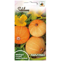 Moliugai-Amazonka Didieji moliūgai Amazonka 13s