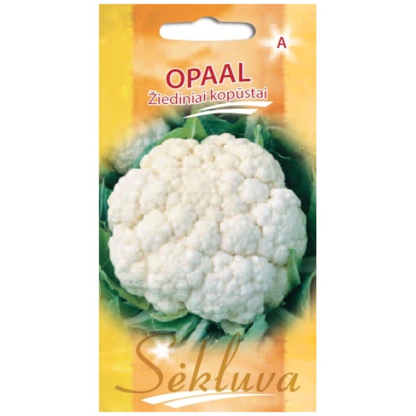 OPAAL Žiediniai kopūstai Opaal 2500s
