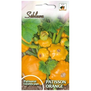 PATISSON_ORANGE Baltieji gūžiniai kopūstai Brigadier F1 100s
