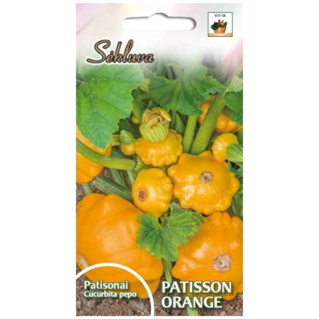 PATISSON_ORANGE Patisonai Patisson Orange 1g