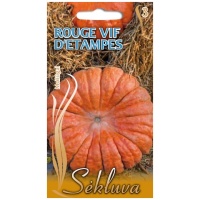 Didieji moliūgai Rouge vif d‘Etampes 50g