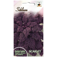 STARLET Garbanotieji kopūstai Scarlet 25g