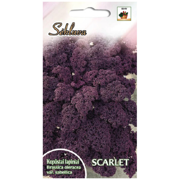 STARLET Garbanotieji kopūstai Scarlet 25g