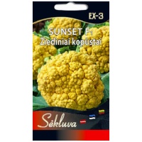 Žiediniai kopūstai Sunset F1 15s