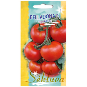 belladona-F1 Valgomosios morkos Amsterdam 2, 2g