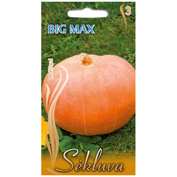 Didieji moliūgai Big Max 50g