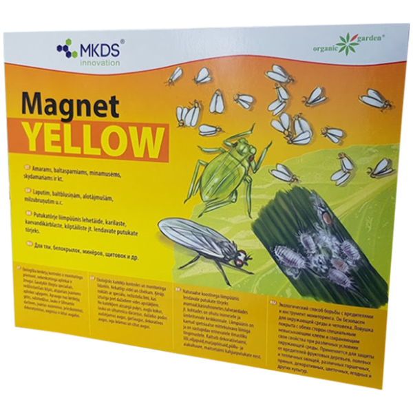 MAGNET yellow (20x25 cm) – baltasparnių, amarų, blakučių gaudyklė