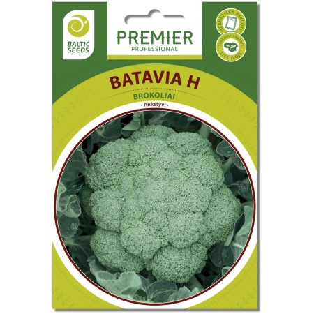 Brokoliai BATAVIA H (F1), 30 sėklų