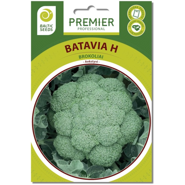 Brokoliai BATAVIA H (F1), 30 sėklų