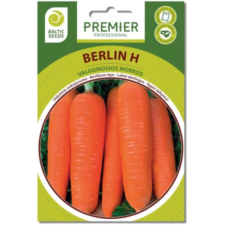 Porgandi BERLIN H (F1), 600 seemneid