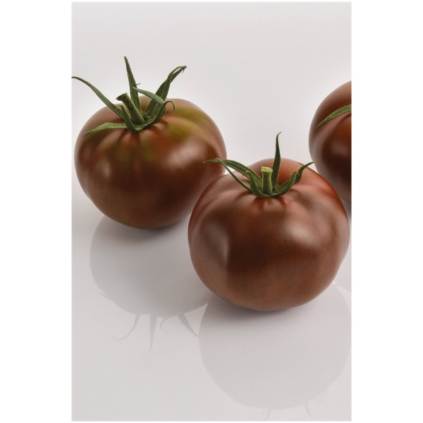 pomidorai-kakao-h-5-seklos (1) Pomidorai KAKAO H, 5 sėklos