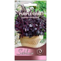 Aromaatne basiilik Purple Opal