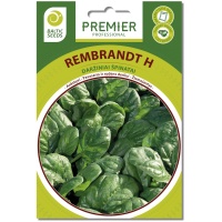Spinat REMBRANDT H (F1), 300 seemet