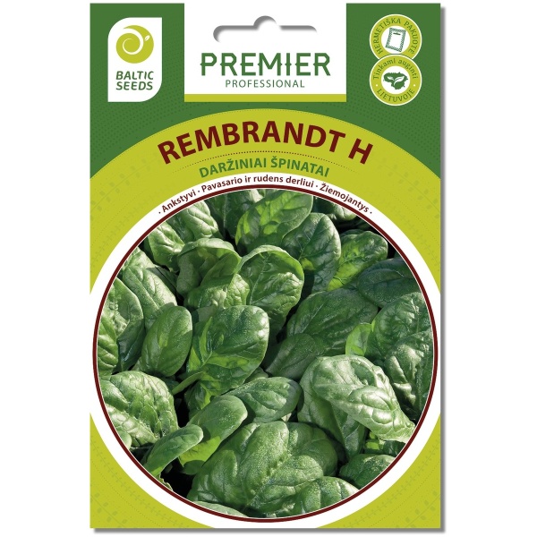 Spinat REMBRANDT H (F1), 300 seemet