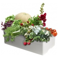 watarmatic-lux-med-planter-1024x914-100-600x600 Laistymo dėžė BASIC
