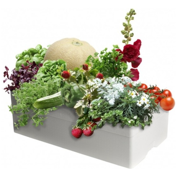 watarmatic-lux-med-planter-1024x914-100-600x600 Laistymo dėžė BASIC