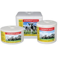 ENERGIJOS BLOKAS 5kg