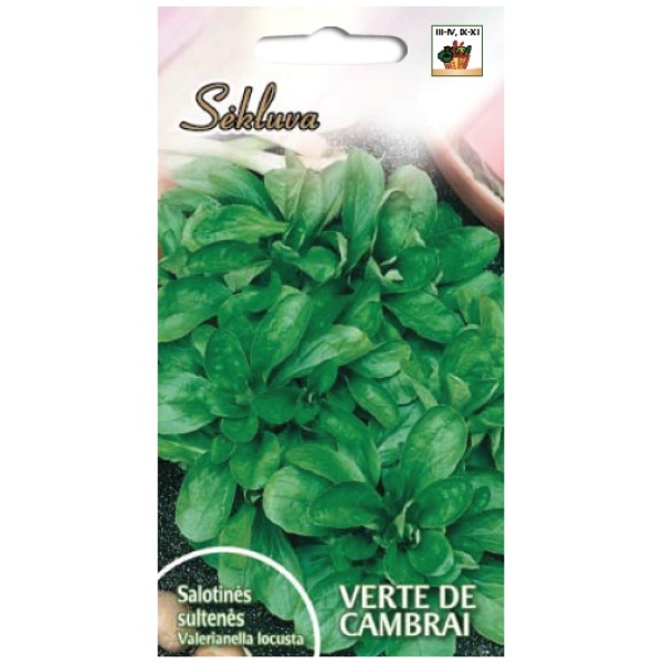 Salotinės sultenės Verte de Cambrai