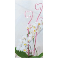 Orchidėjų atrama 59cm