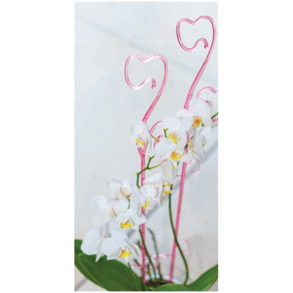 Orchidėjų atrama 59cm