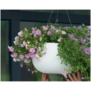 Vazonas su įdėklu SAKARA DUNES ovalus 40cm