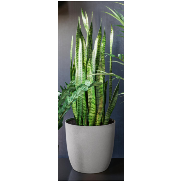 Vazonas TURO ECO  17cm