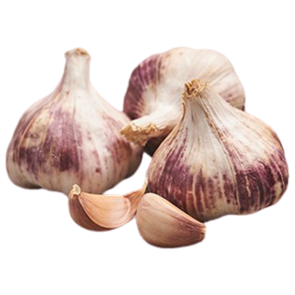 Germidour IŠANKSTINĖ ŽIEMINIŲ ČESNAKŲ REZERVACIJA GERMIDOUR 1kg