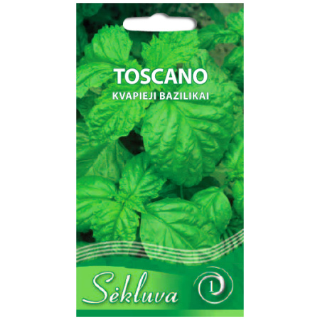 Aromaatne basiilik 'Toscano'