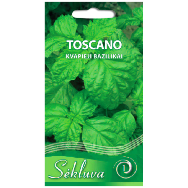 Aromaatne basiilik 'Toscano'