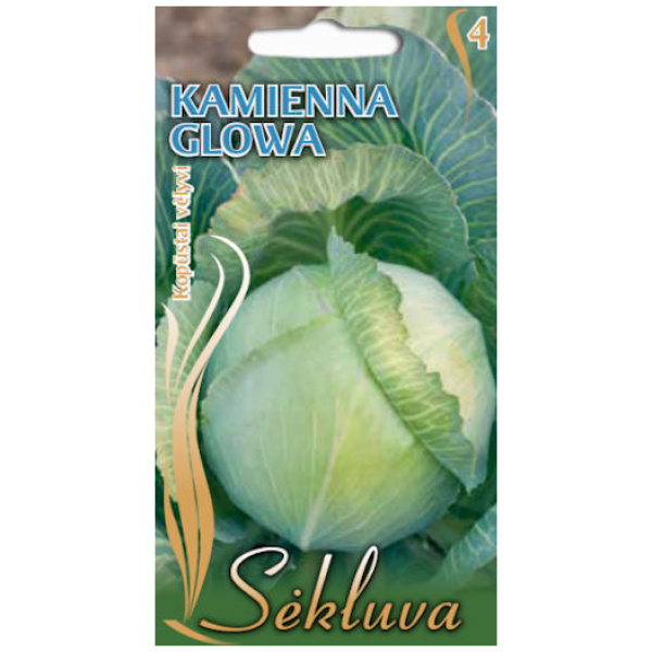 Kamienna-Glowa Baltieji gūžiniai kopūstai Kamienna Glowa