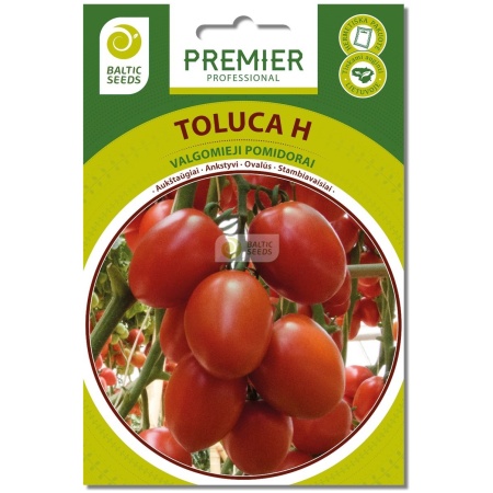 Pomidorai TOLUCA H (F1), 8 sėklos