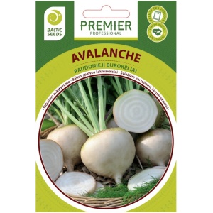 valged-peet-avalanch Česnakai MESSIDROME 40/50, 1kg