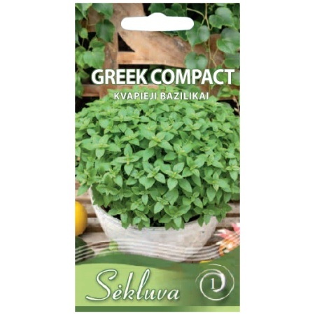 Aromaatne basiilik 'Greek Compact'