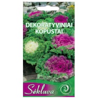 Dekoratyviniai kopūstai