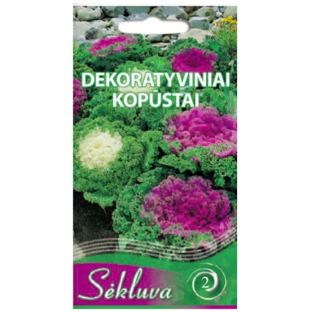 Dekoratyviniai kopūstai