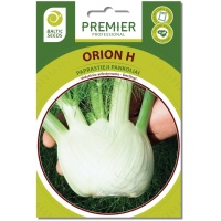 orion 1 Paprastieji pankoliai ORION H (F1), 50 sėklų