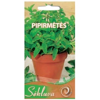 Piparmētra