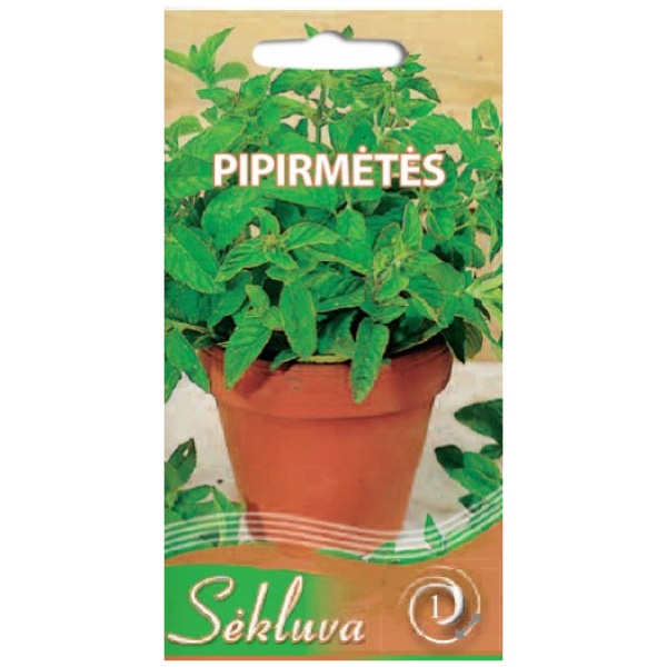 Piparmētra