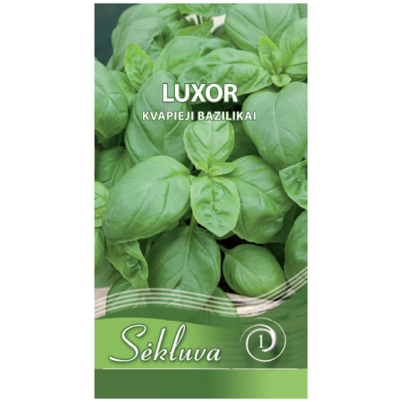 Kvapieji bazilikai Luxor 0,3g